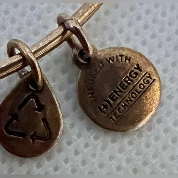 Alex and Ani | Apple of Abundance charm bracelet - Picture 9 of 16